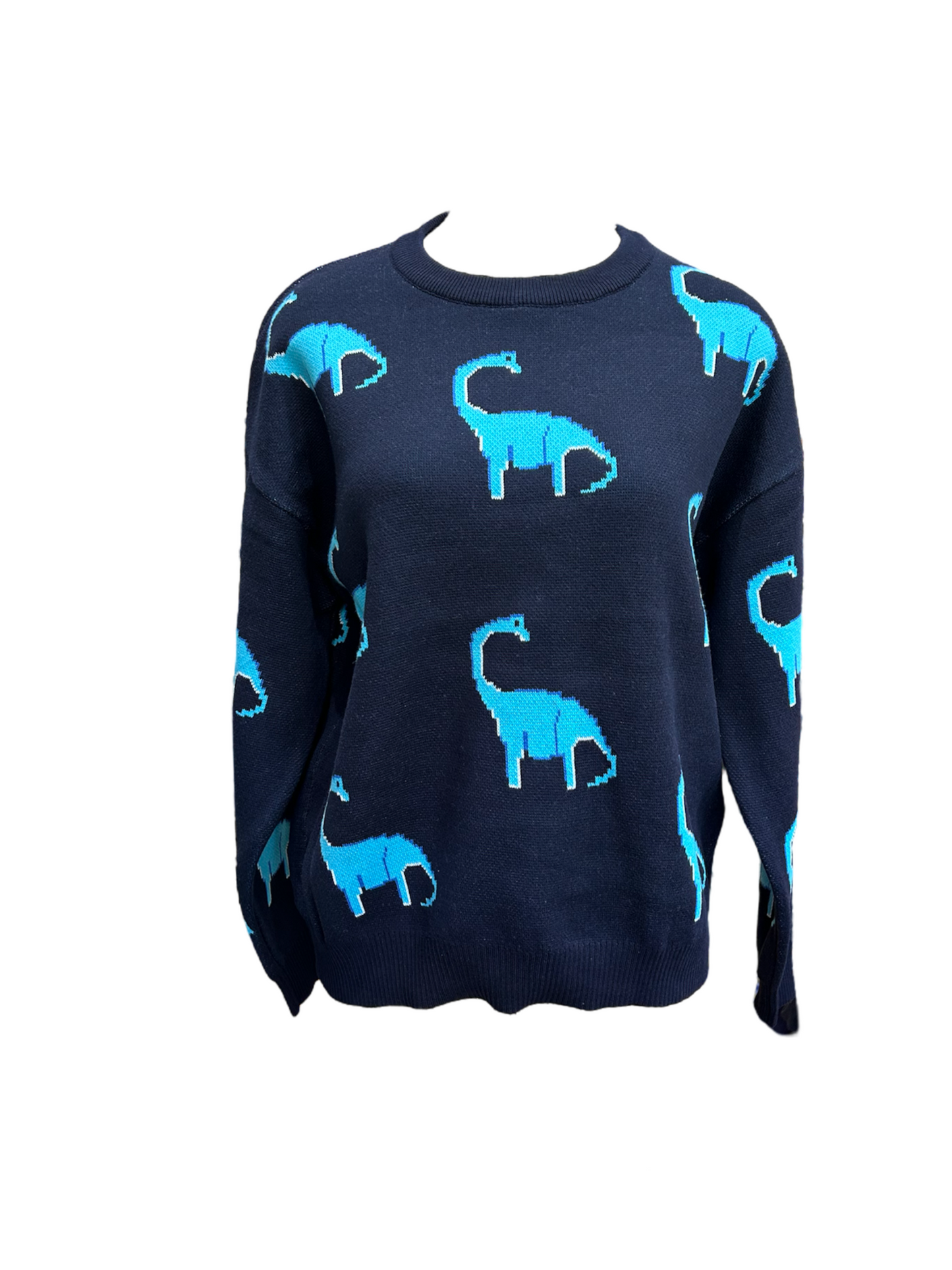 Prehistoric-themed Knit Pullover
